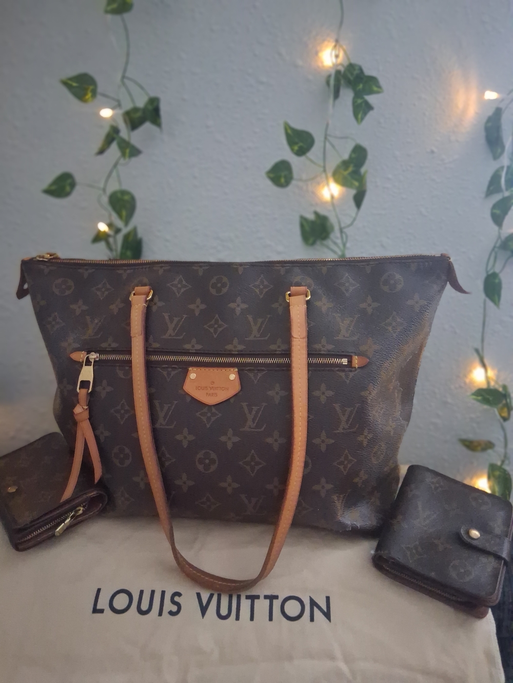 Louis Vuitton Monogram Lena MM Tote With 2 Mathcing Wallets